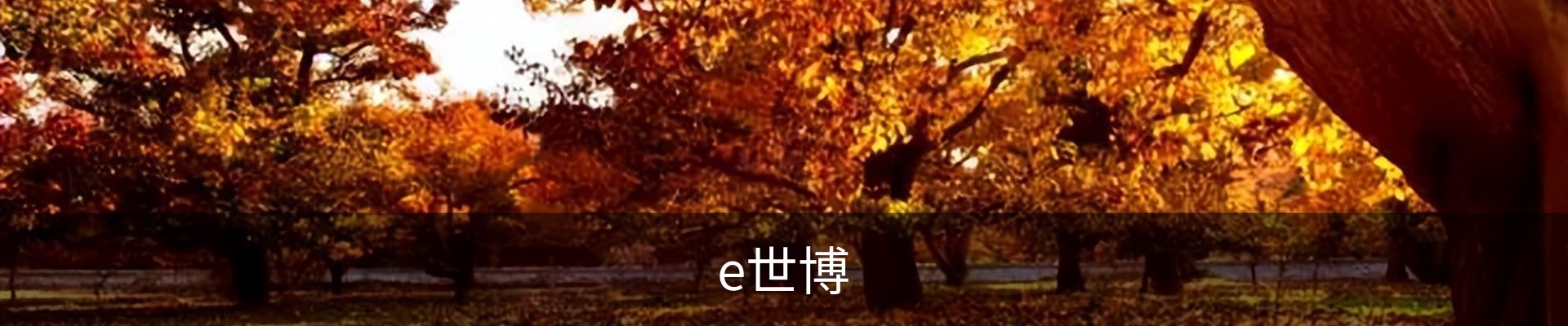 e世博